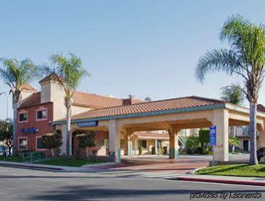 Travelodge By Wyndham Lynwood Exterior foto